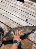 IMG_1307.jpg