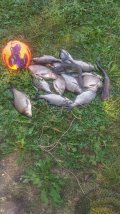 IMG_20210718_080917.jpg