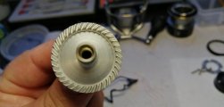 IMG_20210610_103127.jpg