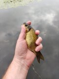 IMG_20210812_160202.jpg