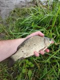 IMG_20210812_131203.jpg