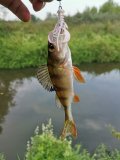 IMG_20210807_181213.jpg