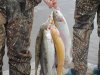 IMG_0459.JPG