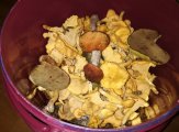 IMG_20210825_213021.jpg