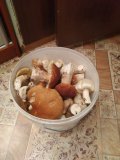 IMG_20210826_160746.jpg