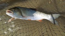 IMG_20210818_115859.jpg