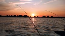 IMG_20210824_192011.jpg