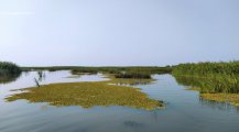 IMG_20210821_171153.jpg