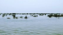 IMG_20210821_162001.jpg