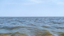IMG_20210821_162258.jpg