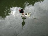 IMG_0165.JPG