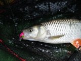 IMG_0195.JPG