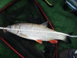 IMG_0213.JPG