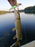 IMG_20210911_181738.jpg