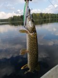 IMG_20210911_155336.jpg