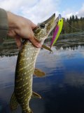 IMG_20210913_113040.jpg