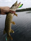 IMG_20210911_120637.jpg