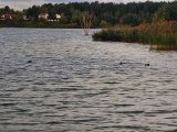 IMG_20210914_085944_result.jpg