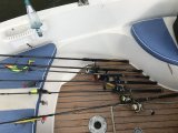 IMG_9135.jpeg