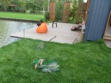 IMG_0213.JPG