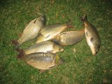 IMG_0225.JPG