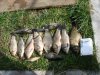 DSC00610.JPG