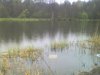 12-05-07_1138.jpg