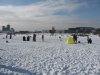 Битва пингвинов 2010 031.jpg