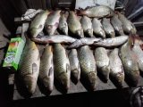 IMG-20210923-WA0061.jpg