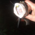 IMG_20210922_204833_388.jpg
