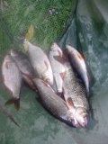 IMG_20211001_161936.jpg