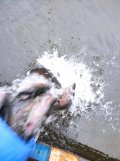 IMG_20211002_080745.jpg
