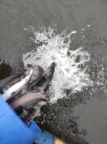 IMG_20211002_081037.jpg