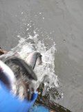 IMG_20211002_081617.jpg