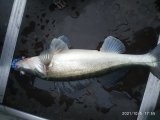 IMG_20211005_175554.jpg