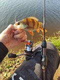 IMG_20211004_095328.jpg