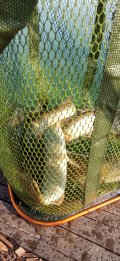 IMG-20211012-WA0013.jpg