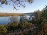 IMG_20211008_091818.jpg