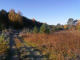 IMG_20211008_091604.jpg