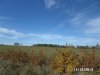SAM_0341.jpg