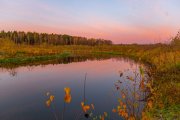 IMG_0911.jpg