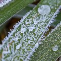 IMG_0954-2.jpg