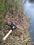 IMG_20211103_124218.jpg