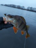IMG_20211103_160453.jpg