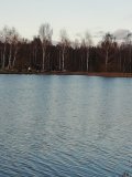 76D7448D-6B34-4727-B5D0-54E26CA94ED2.jpeg