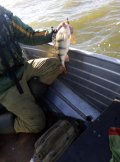 IMG_20211106_103615.jpg