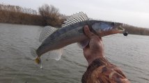 IMG-20211104-WA0016.jpeg