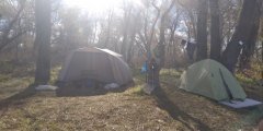 IMG-20211025-WA0010.jpeg