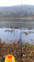 IMG_20211104_153230.jpg