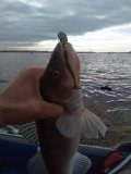 IMG_20211114_110721.jpg